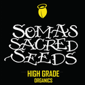 Soma Seeds