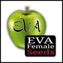 Eva Female Seeds