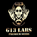 G13 Labs