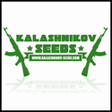 Kalashnikov Seeds