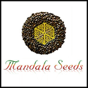 Mandala Seeds