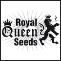 Royal Queen Seeds