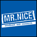 Mr Nice